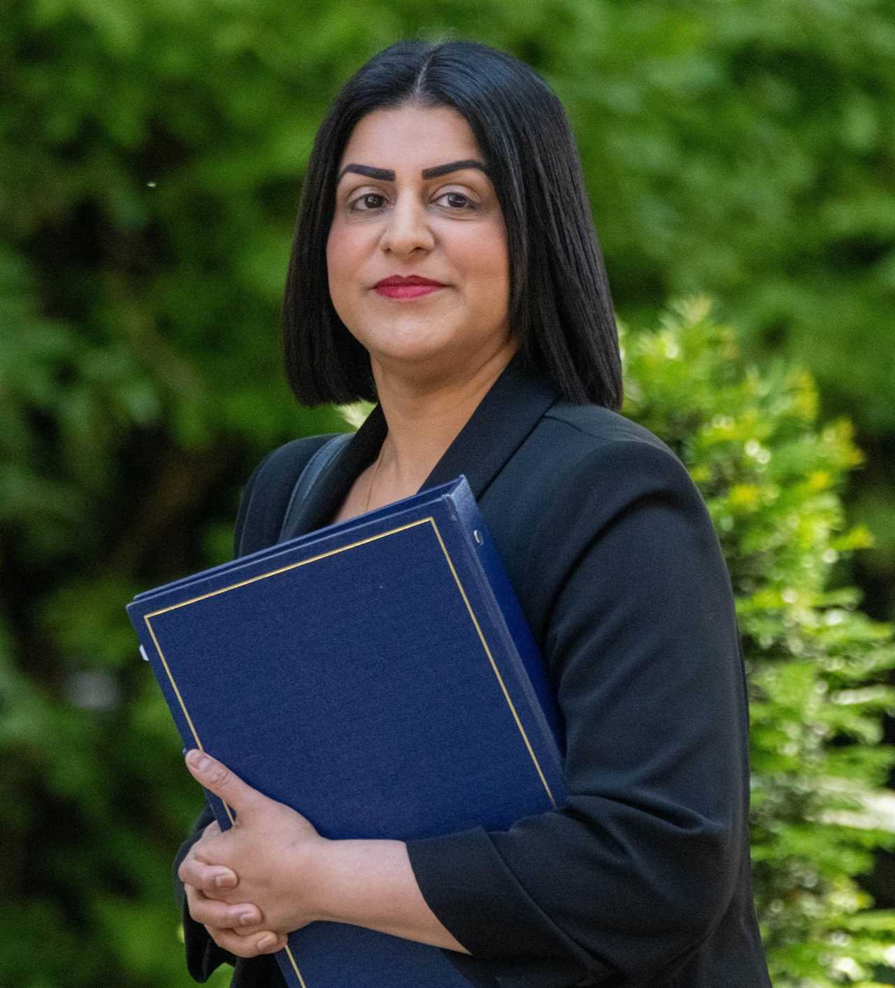 Analyzing Labour's Criminal Justice Reforms: A Shift Towards Rehabilitation and Early Release